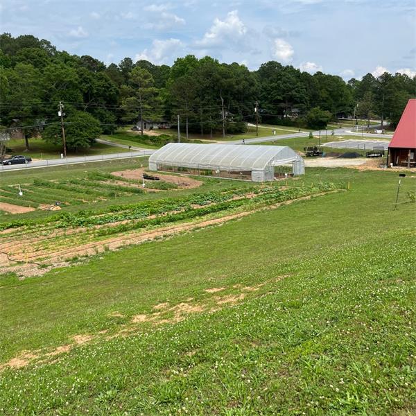 This is our farm - 49 days in on 5.24.2024